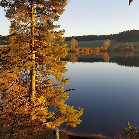 Ferienwohnung Am Kirnbergsee Unterbrand 외부 사진