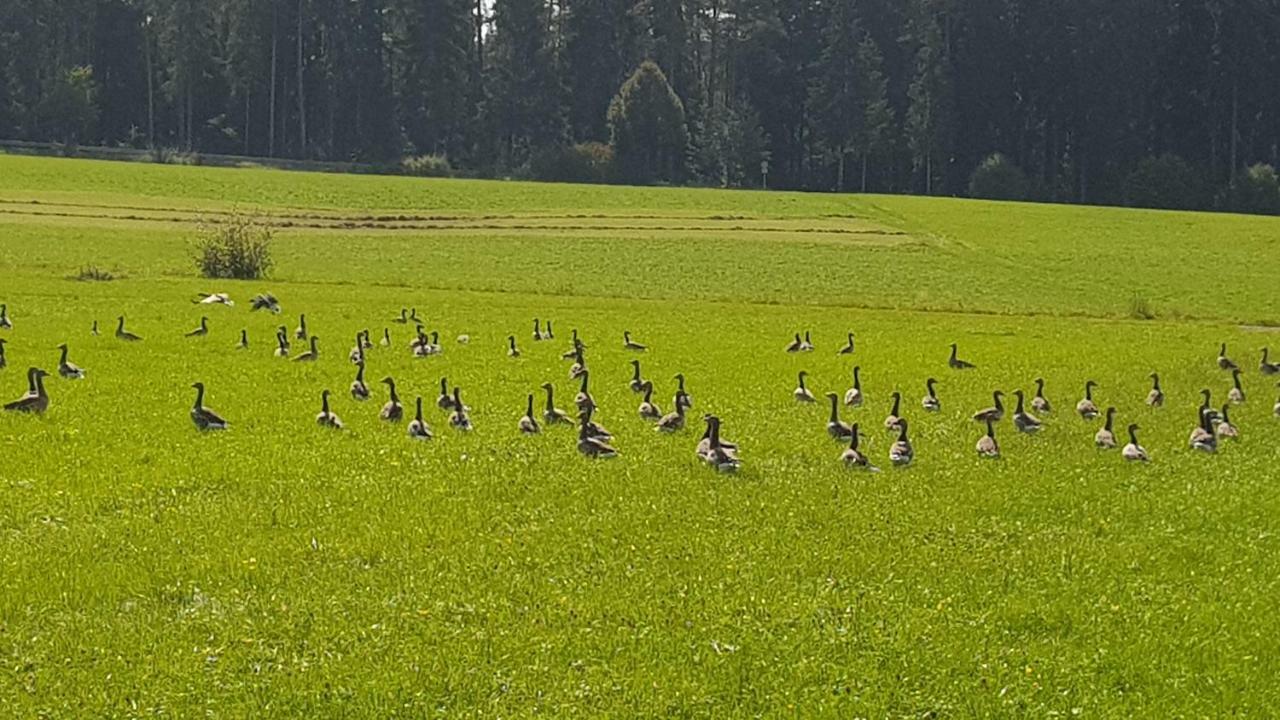 Ferienwohnung Am Kirnbergsee Unterbrand 외부 사진